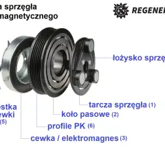Rozłożone sprzęgło klimatyzacji: koło pasowe, tarcza, cewka/elektromagnes, łożysko. Często hałasujące sprzęgło klimatyzacji wymaga regeneracji.