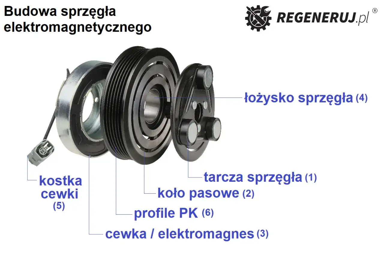 Rozłożone sprzęgło klimatyzacji: koło pasowe, tarcza, cewka/elektromagnes, łożysko. Złącze kostki cewki.